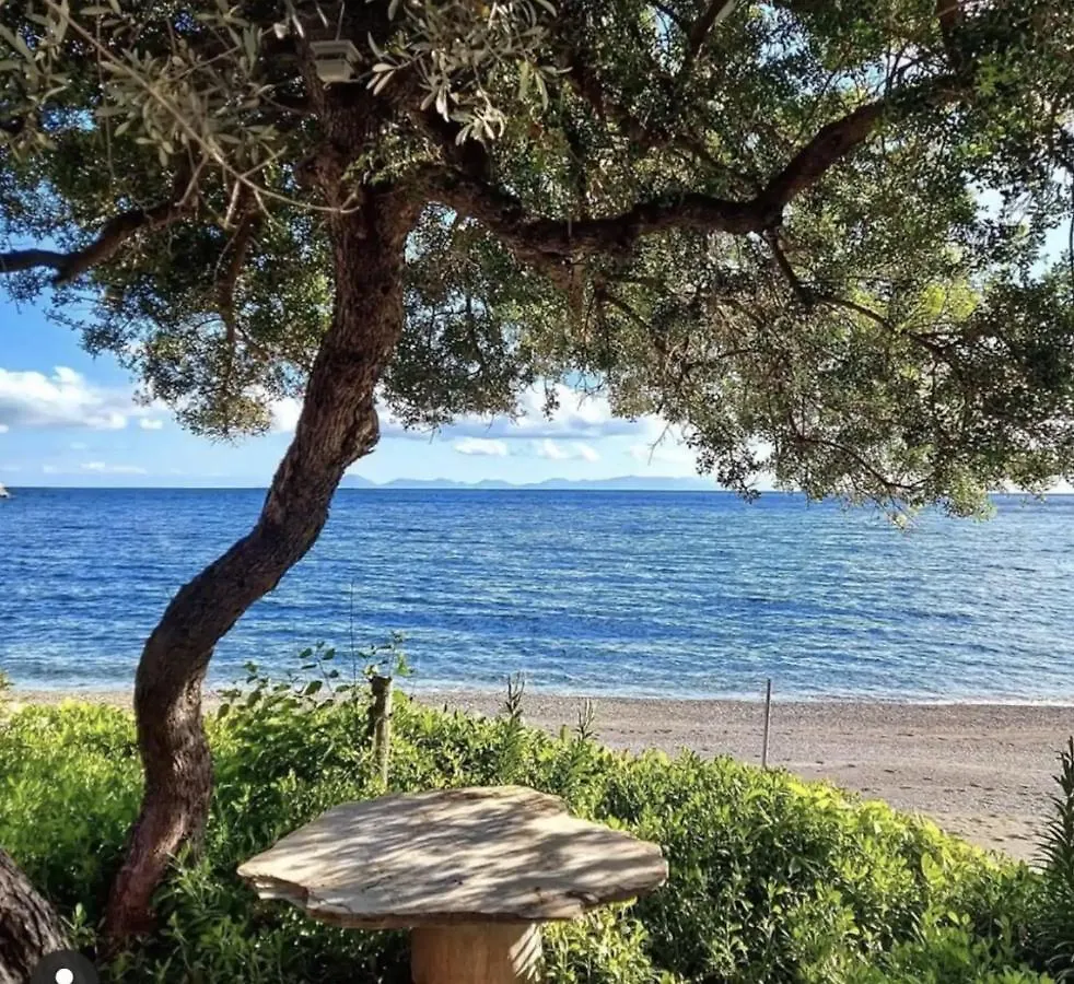 Dadya Villa 2 - Villa With Private Pool - 750M Distance To The Beach Datca